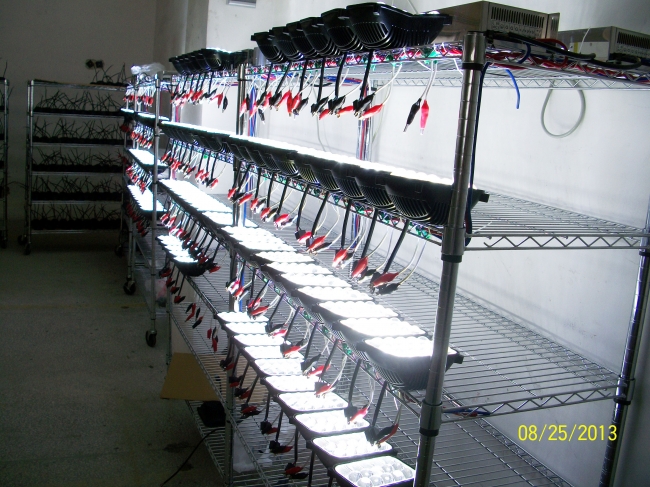 Factory